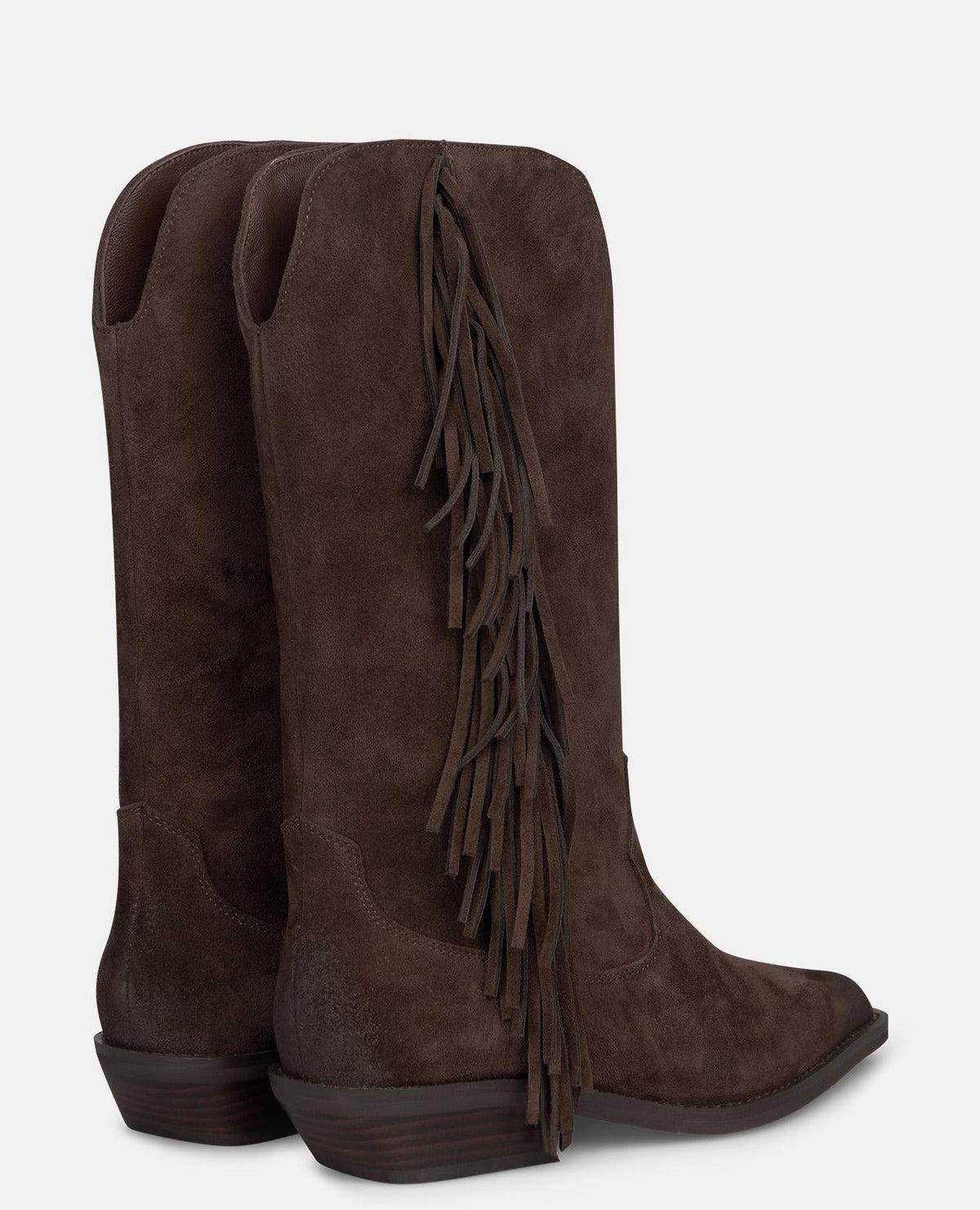 BOTA COWBOY DE ANTE CON FLECOS